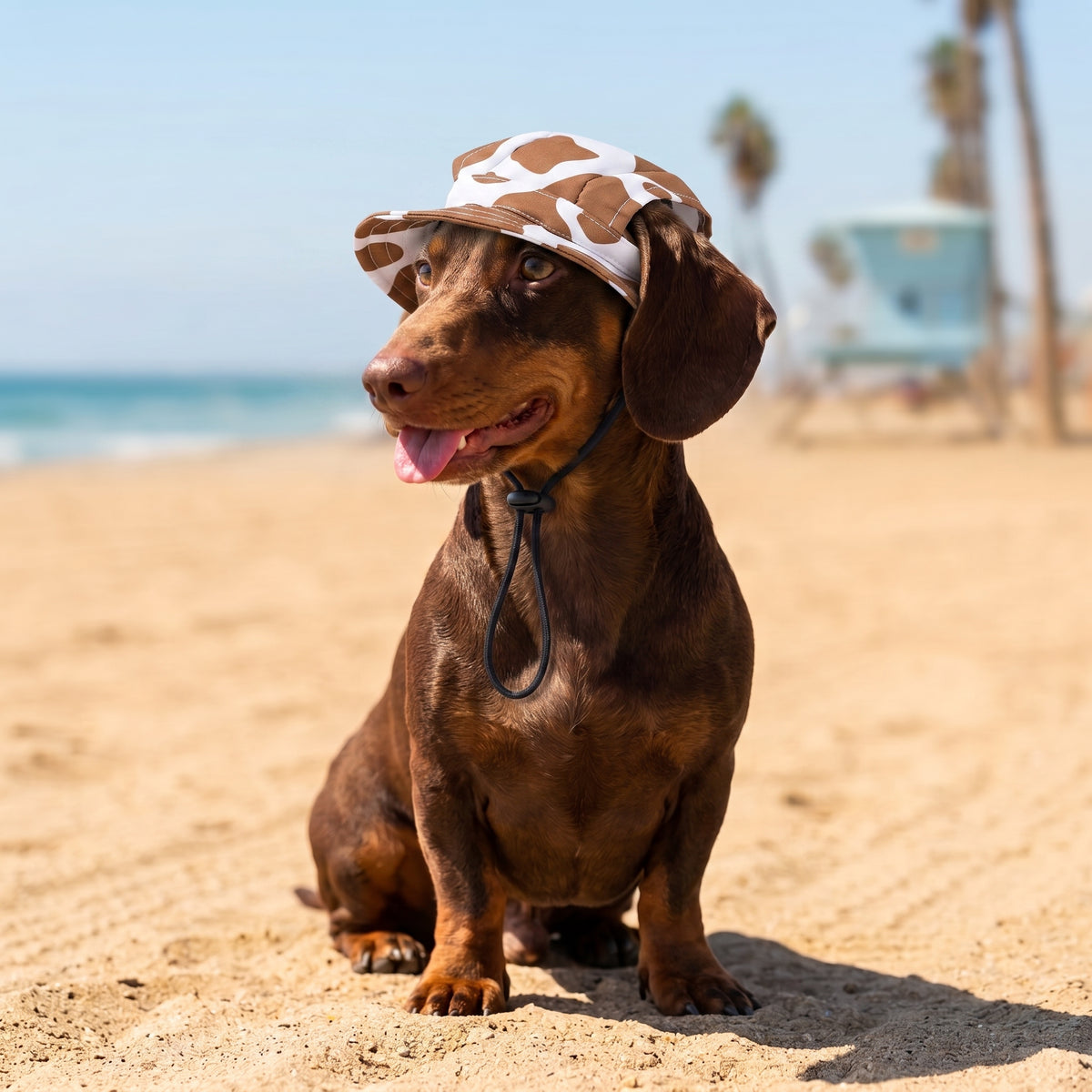 PUP Bucket hat