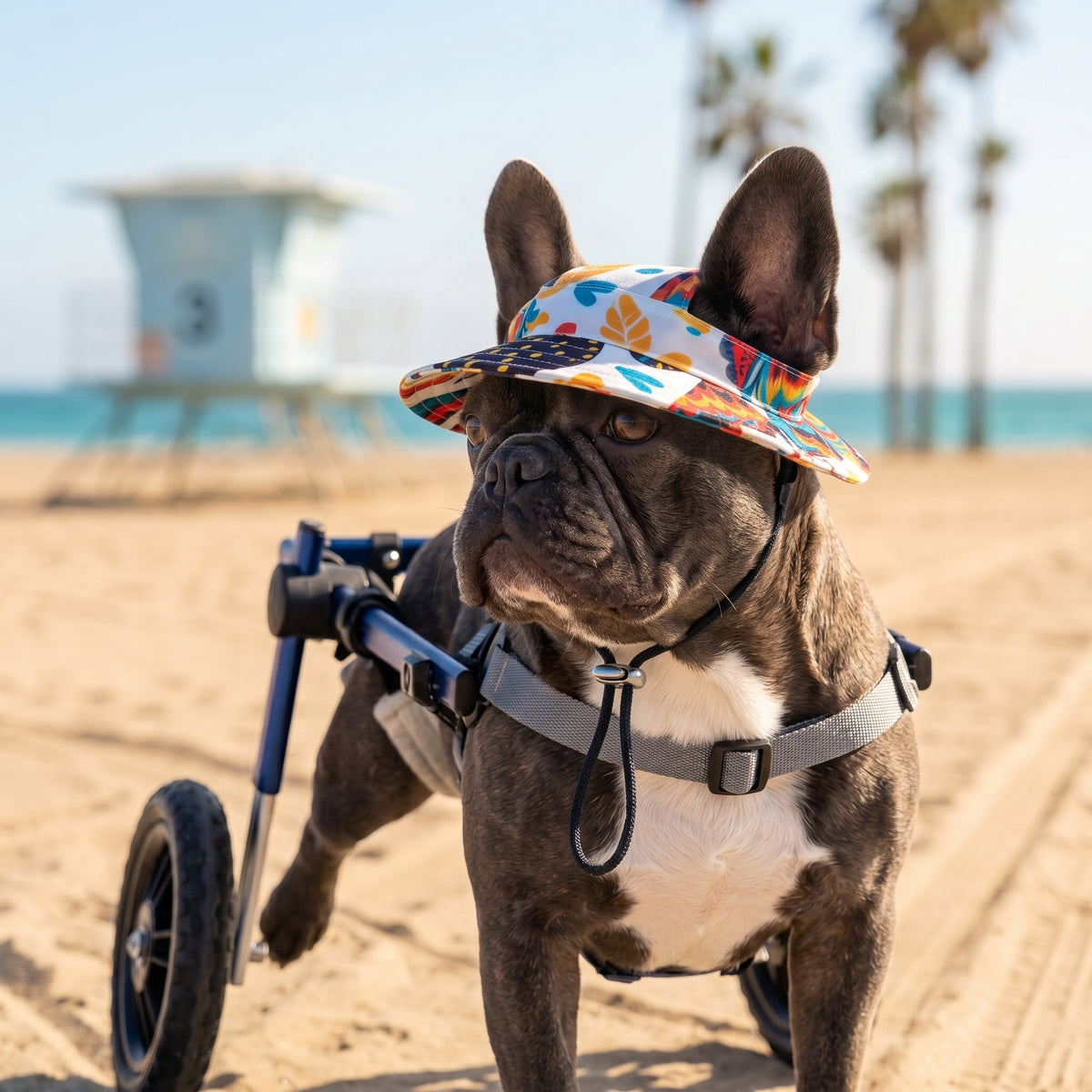 PUP Bucket hat