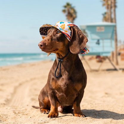 PUP Bucket hat