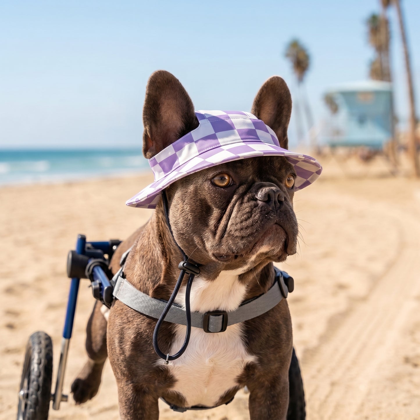 PUP Bucket hat
