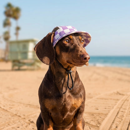 PUP Bucket hat