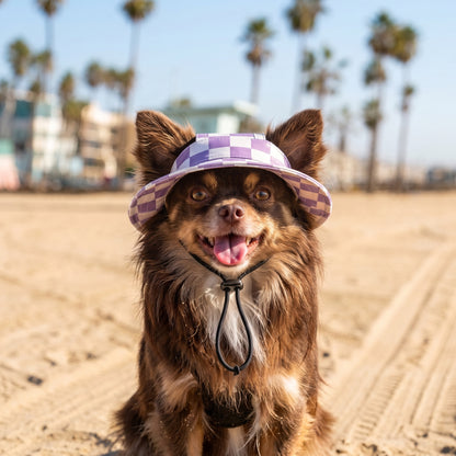 PUP Bucket hat