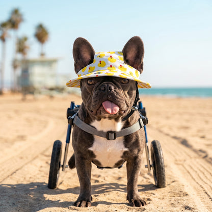 PUP Bucket hat