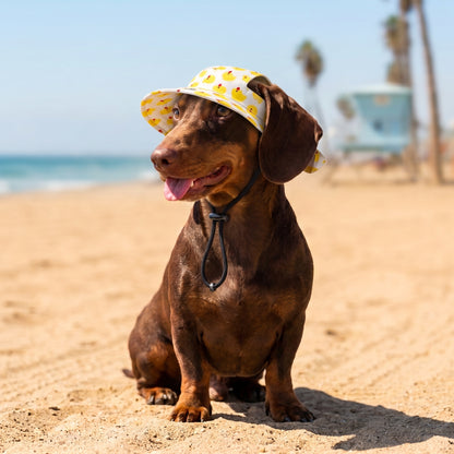 PUP Bucket hat