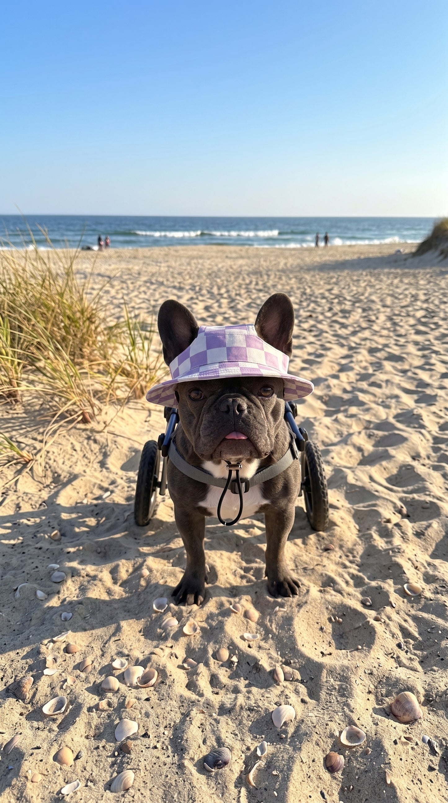 Violet chess pup bucket hat