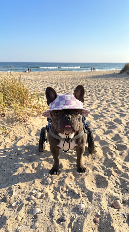 Violet chess pup bucket hat
